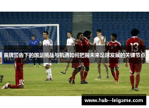 黄牌警告下的国足挑战与机遇如何把握未来足球发展的关键节点