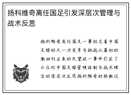扬科维奇离任国足引发深层次管理与战术反思
